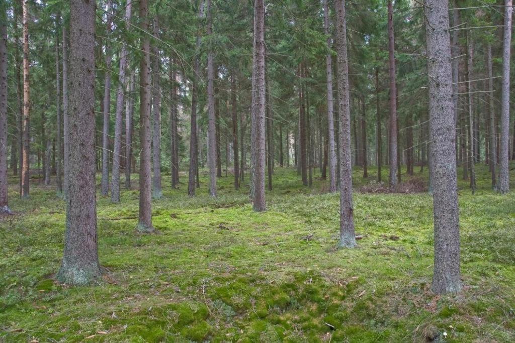 Agroturystyka Skoszewo Екстер'єр фото